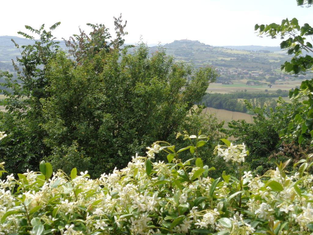 Agriturismo La Torraccia Todi Eksteriør billede